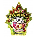 Striking Sucre pétillant goût Thé Citron 15 Gr