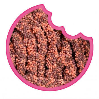 Ceinture acidul&eacute;e Raisin Faise 100 Gr