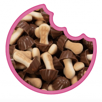 Champignons Chocolat Lait En Canette 80 Gr