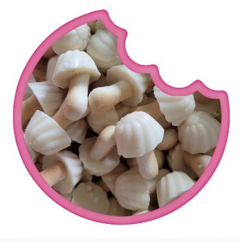 Champignons Chocolat Blanc En Canette 80 Gr