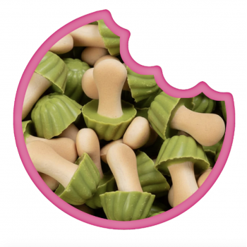 Champignons Pistache En Canette 80 Gr