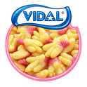 Patte de Poulet Vidal Vidal 100 Gr