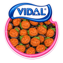 Citrouille Vidal 100 Gr