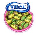 Tranche de Kiwi Vidal 100 Gr