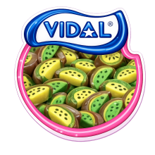 Tranche de Kiwi Vidal 100 Gr