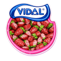 Tranche de Fraise Vidal 100 Gr