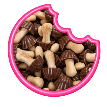 Champignons Chocolat Lait En Canette 80 Gr