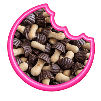 Champignons Chocolat Noir En Canette 80 Gr