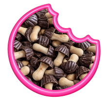 Champignons Chocolat Noir En Canette 80 Gr