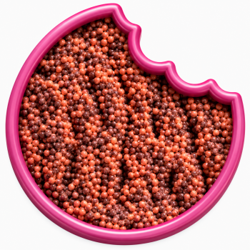 Ceinture acidul&eacute;e Raisin Faise 100 Gr