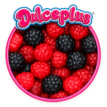 Jelly Berries Dulceplus 100 Gr