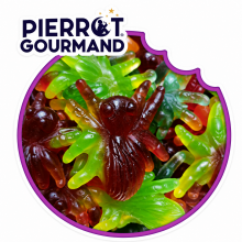 Maxi Mygale Pierrot Gourmand 100 Gr