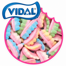 Dentier Acide Multicolor Vidal 100 Gr